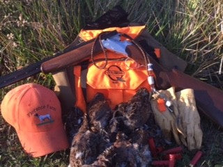Guided Quail Hunts
